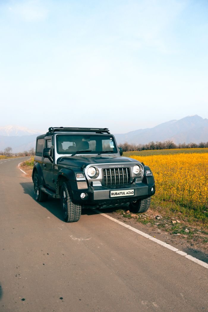 Mastering the First Impression: Your intriguing post title goes here 4x4 SUV parked on a rural road beside vibrant yellow fields with mountains in the background.